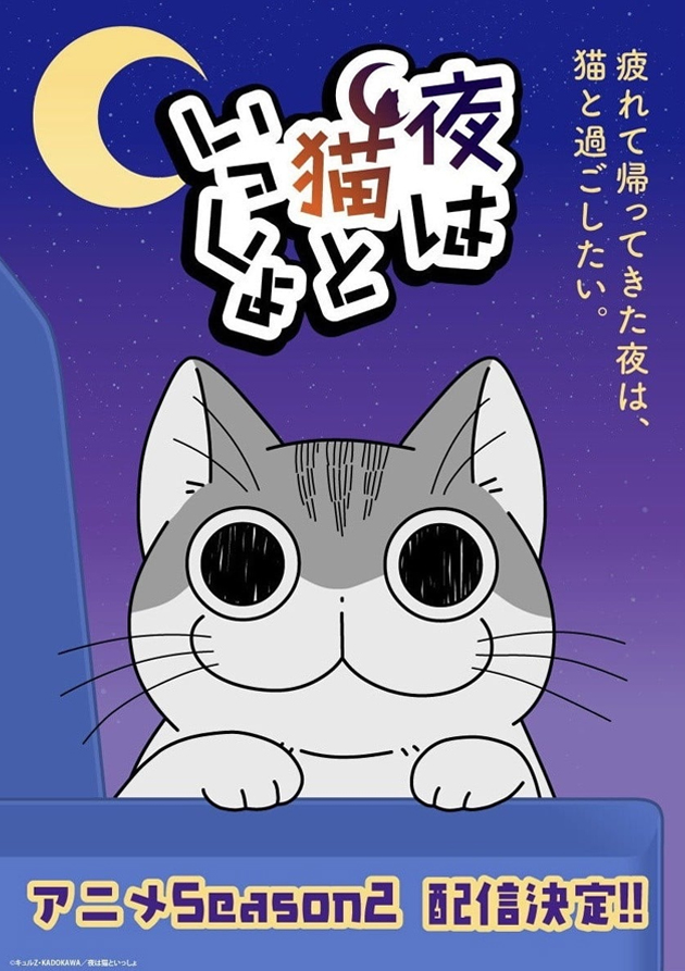 Постер аниме Вечера с кошкой 2