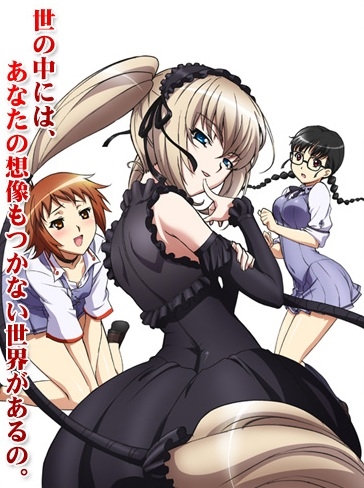 Постер аниме Стигматы Квазаров OVA